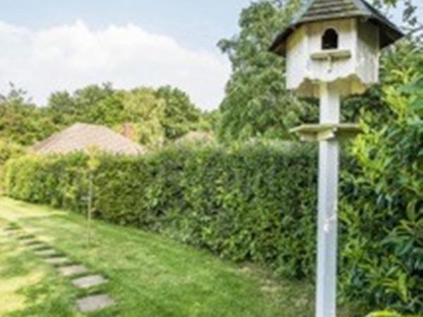 Knole B&B Sevenoaks Zewnętrze zdjęcie